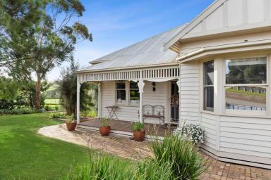 Mixed Farming For Sale - VIC - Sutherlands Creek - 3331 - Rural Estate with Frontage to Sutherlands Creek  (Image 2)