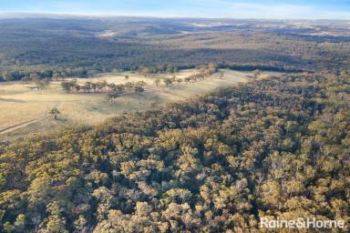 Residential Block For Sale - NSW - Brayton - 2579 - Private Bush Sanctuary!  (Image 2)