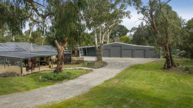 Acreage/Semi-rural Sold - VIC - Bittern - 3918 - Family Haven On 1.4 Acres With New Tradie’s Shed  (Image 2)