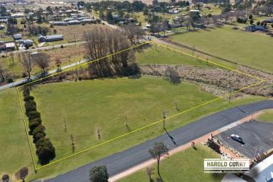 Residential Block For Sale - NSW - Tenterfield - 2372 - Options.....  (Image 2)