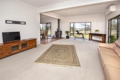 Acreage/Semi-rural Sold - VIC - Beverford - 3590 - A PEACEFUL AND PRIVATE LIFESTYLE  (Image 2)
