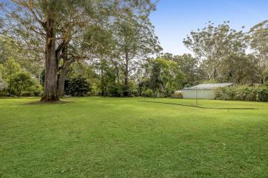 House Sold - QLD - Highfields - 4352 - Loved Family Home in Desirable Location – 3,742m2 Allotment  (Image 2)