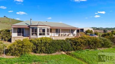 House Leased - VIC - Woodfield - 3715 - Large family farm home available in September.  (Image 2)