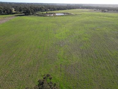 Mixed Farming For Sale - NSW - West Wyalong - 2671 - Great Parcel Of Land Located On The Outskirts Of Town  (Image 2)