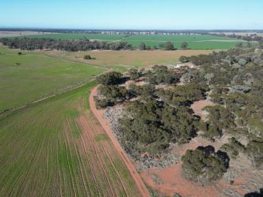 Mixed Farming For Sale - NSW - West Wyalong - 2671 - Great Parcel Of Land Located On The Outskirts Of Town  (Image 2)