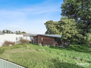 House Sold - TAS - Cressy - 7302 - Full Renovator on Approx 1/2 Acre  (Image 2)
