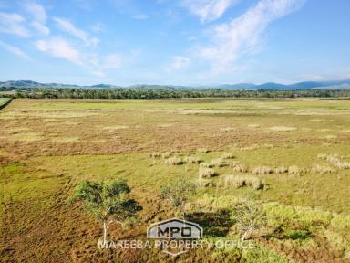 Mixed Farming For Sale - QLD - Mareeba - 4880 - 101.6 HA UNDER HAY PRODUCTION  (Image 2)