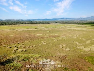 Mixed Farming For Sale - QLD - Mareeba - 4880 - 101.6 HA UNDER HAY PRODUCTION  (Image 2)