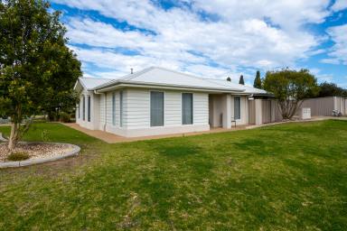 Apartment Leased - NSW - Boorooma - 2650 - Simple living for two  (Image 2)