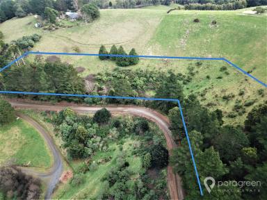 Residential Block For Sale - VIC - Mount Best - 3960 - HEAR THE LYREBIRDS SING  (Image 2)