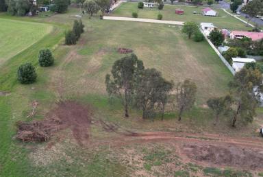 Residential Block For Sale - NSW - Merriwa - 2329 - Beautiful Large Residential Land!  (Image 2)