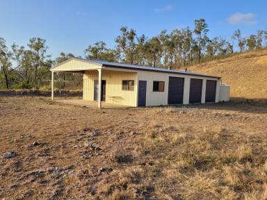 Livestock Sold - QLD - Stanwell - 4702 - ESCAPE FROM SUBURBIA ON 100 ACRES  (Image 2)