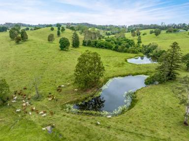 Acreage/Semi-rural Sold - QLD - Veteran - 4570 - 40 ACRES 2 HOMES  (Image 2)