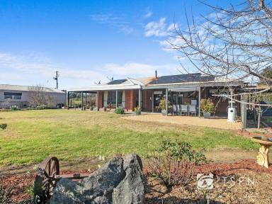 House Sold - VIC - Shelbourne - 3515 - Immaculately Presented Scenic Lifestyle Property on 30 Acres  (Image 2)