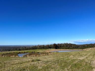 Other (Rural) For Sale - VIC - Seaton - 3858 - Home Away From Home With Panoramic Views  (Image 2)