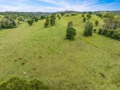 Acreage/Semi-rural For Sale - QLD - Veteran - 4570 - IMPRESSIVE VETERAN ACREAGE  (Image 2)