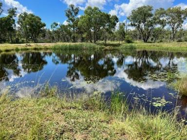 Other (Rural) For Sale - NSW - Inverell - 2360 - 'Glen Alpin'... Lifestyle living acreage  (Image 2)