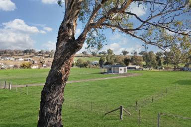 Residential Block Sold - NSW - Wallabadah - 2343 - 1 ACRE OF LAND & NEW SHED  (Image 2)