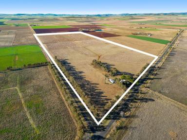 Livestock Sold - QLD - Clifton - 4361 - LOCATION IS KEY!  (Image 2)