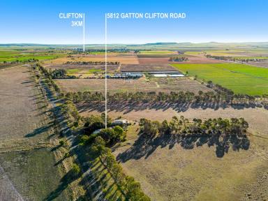 Livestock Sold - QLD - Clifton - 4361 - LOCATION IS KEY!  (Image 2)
