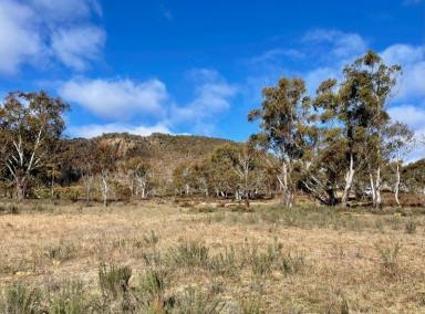 Other (Rural) Sold - NSW - Numeralla - 2630 - 140 Acres with Kybeyan River Frontage  (Image 2)