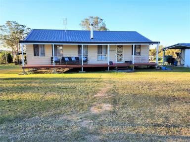 Mixed Farming For Sale - NSW - Casino - 2470 - "LINDARRA"  (Image 2)