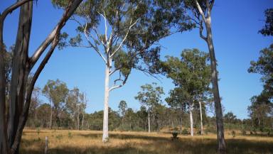 Residential Block Sold - QLD - Benaraby - 4680 - MACHINE CREEK - 1,419HA* | 20* minutes from Gladstone  (Image 2)