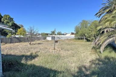 House Sold - NSW - Bourke - 2840 - A Project for the Handyman  (Image 2)