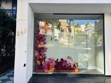Retail For Lease - NSW - Paddington - 2021 - READY TO GO Premium Medical Clinic /Showroom/Retail/Consulting Priced to lease quickly (Image 2)