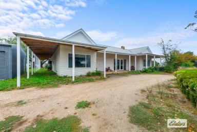 Acreage/Semi-rural For Sale - VIC - Maffra - 3860 - Perfect for the family lifestyle  (Image 2)