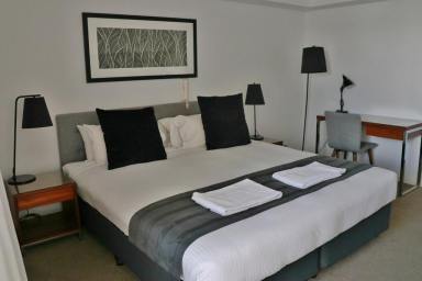 Studio Leased - QLD - Mackay - 4740 - FULLY FURNISHED STUDIO APARTMENT  (Image 2)