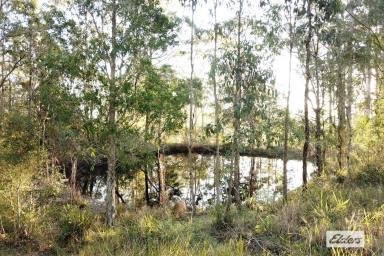 Other (Rural) Sold - NSW - Lansdowne - 2430 - BLANK CANVAS 5 ACRES WITH BUILDING ENTITLEMENT  (Image 2)