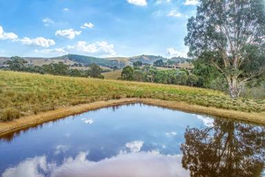 Residential Block For Sale - VIC - Bonnie Doon - 3720 - VIEWS OF THE STRATHBOGIE RANGES  (Image 2)