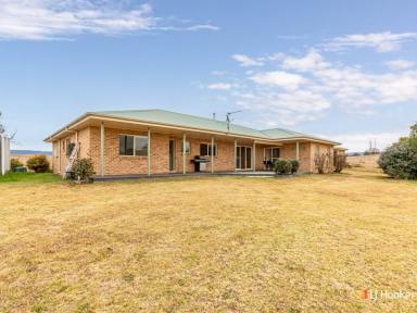 Acreage/Semi-rural Sold - NSW - Candelo - 2550 - "TURA-LEE" - 300 ACRE RURAL PROPERTY  (Image 2)