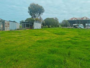 Residential Block For Sale - VIC - Tragowel - 3579 - LARGE RURAL ALLOTMENT  (Image 2)