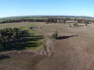 Cropping For Sale - NSW - Barmedman - 2668 - Great Mixed Farm In Prime Location  (Image 2)