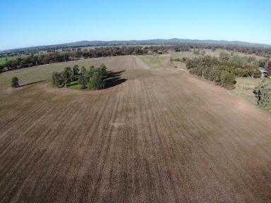 Cropping For Sale - NSW - Barmedman - 2668 - Great Mixed Farm In Prime Location  (Image 2)