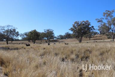 Other (Rural) Sold - NSW - Inverell - 2360 - SOLD BY WAYNE DALEY  (Image 2)