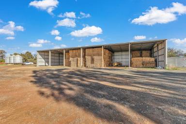 Mixed Farming Sold - VIC - Corop - 3559 - "BARTLETT'S"
ONSITE AUCTION - A/C GOBARUP P/L  (Image 2)