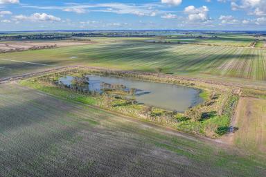 Mixed Farming Sold - VIC - Corop - 3559 - "BARTLETT'S"
ONSITE AUCTION - A/C GOBARUP P/L  (Image 2)