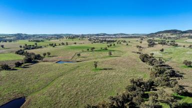 Livestock Sold - NSW - Woodstock - 2793 - Wanstrow - Productive Grazing and Farming Country  (Image 2)