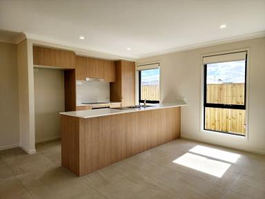 House Leased - QLD - Walloon - 4306 - Newly Built Family Home in Walloon  (Image 2)