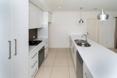 House For Lease - NSW - Estella - 2650 - GREAT SPACIOUS FAMILY HOUSE  (Image 2)