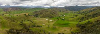 Other (Rural) For Sale - NSW - Jingellic - 2642 - Excellent Upper Murray Cattle Grazing  (Image 2)