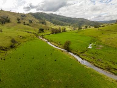 Other (Rural) For Sale - NSW - Jingellic - 2642 - Excellent Upper Murray Cattle Grazing  (Image 2)