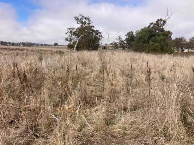 Residential Block For Sale - NSW - Merriwa - 2329 - Large Residential Block!  (Image 2)