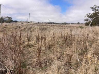 Residential Block For Sale - NSW - Merriwa - 2329 - Large Residential Block!  (Image 2)