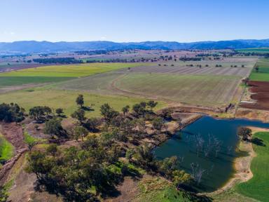 Mixed Farming Sold - NSW - Loomberah - 2340 - Productive Lifestyle Location  (Image 2)