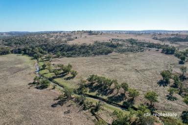 Mixed Farming For Sale - NSW - Warialda - 2402 - GLENROCK  (Image 2)