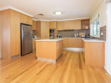 House Sold - NSW - Surf Beach - 2536 - Stunning Family Home  (Image 2)